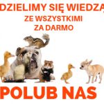 Polub_nas
