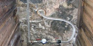 Przyłącze wodociągowe z ołowiu Przyłącze wodociągowe z ołowiu. Kto pije wodę z ołowiem?